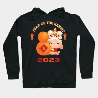 2023 Year of the Rabbit. Hoodie